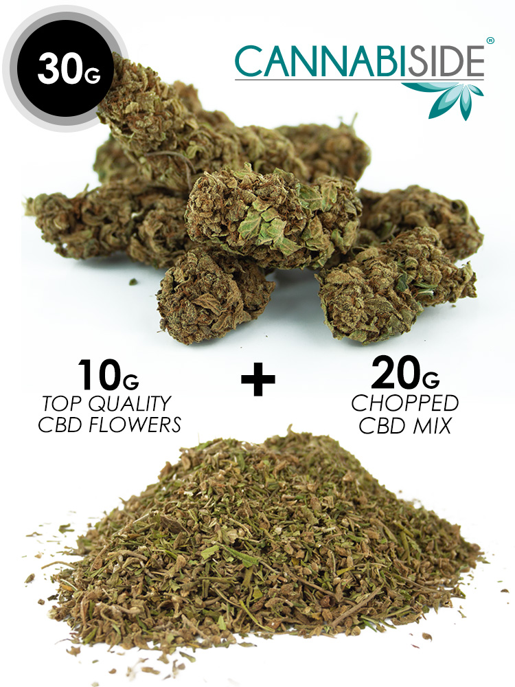 Acquista la cannabis light, cannabis legale, con alto contenuto di CBD e basso THC (meno di 0,6%)